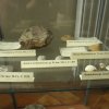 Warsztaty w muzeum - tajemnice morza jurajskiego